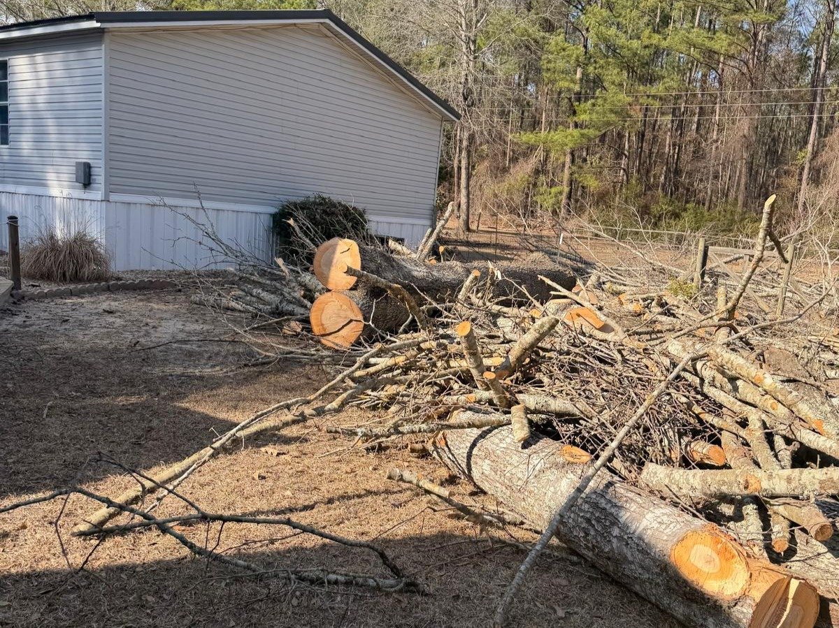 El Costeño Tree Service LLC